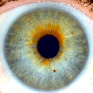 Iris Identification – Behavioral Iridology